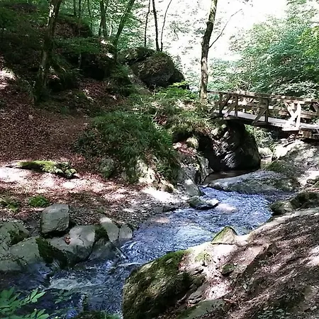 Konukevi Landgasthaus Zur Kupferkanne Kobern-Gondorf