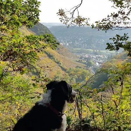 Konukevi Landgasthaus Zur Kupferkanne 3*