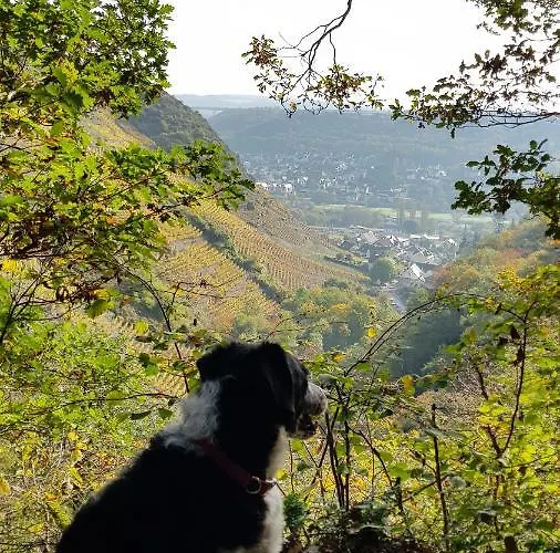 게스트하우스 Landgasthaus Zur Kupferkanne 3*